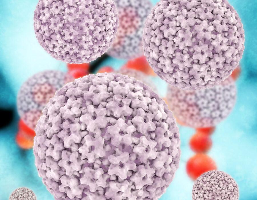 Заболевания, вызываемые ВПЧ